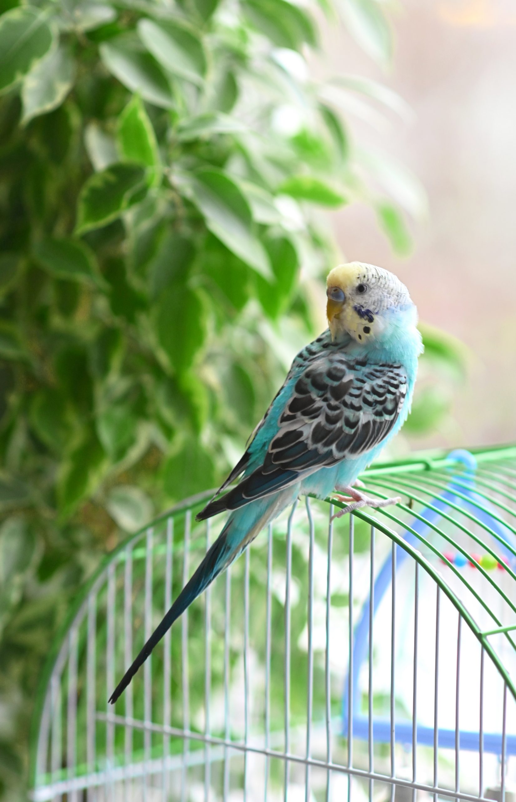 Blog